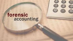 pelatihan forensic accounting and investigation audit